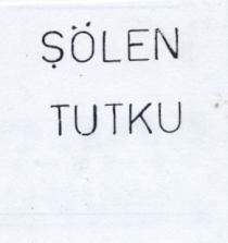 şölen tutku
