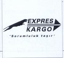 expres kargo