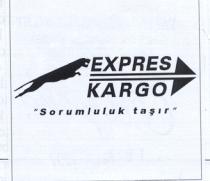 expres kargo