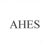 ahes