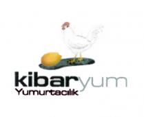 kibaryum yumurtacılık