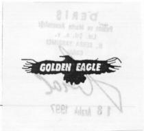 golden eagle