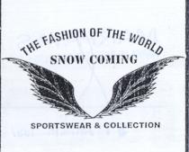 the fashion of the world snow coming