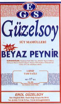 güzelsoy egs erol güzelsoy