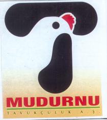 mudurnu tavukçuluk