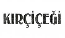 kırçiçeği