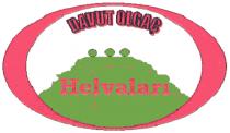 davut olgaç