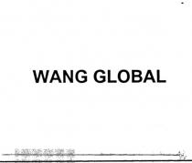 wang global