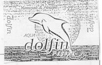 aqua dolfin