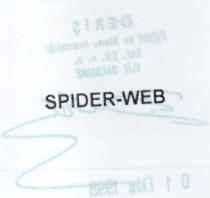 spider web