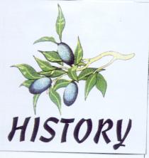 history