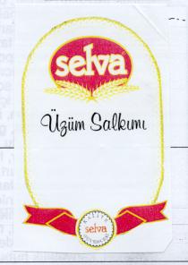 selva üzüm salkimi