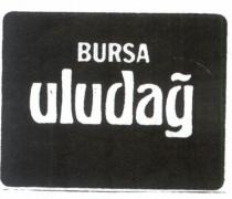 bursa uludağ