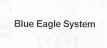 blue eagle systems