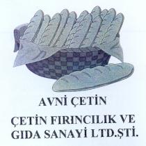 avni çetin