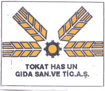 tokat has un