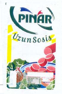 pinar uzun