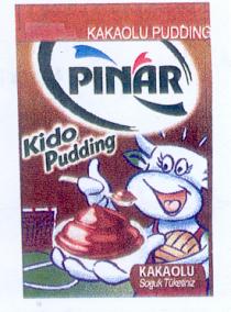 pinar kido pudding