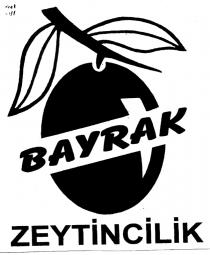 bayrak zeytincilik