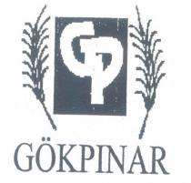 gökpinar gp