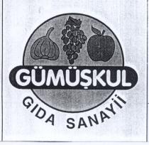 gümüşkul gida sanayii