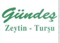 gündeş zeytin-turşu