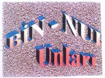 bin-nur unlari