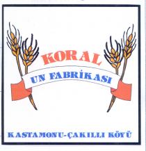 koral kastamonu çakili köyü