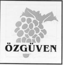 özgüven