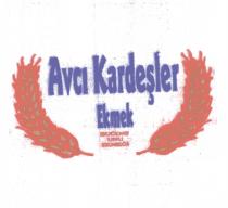 avci kardeşler