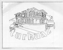 turkuaz