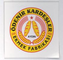 ödenir kardeşler aydin