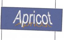 apricot