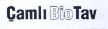 çamli bio tav
