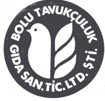 bolu tavukçuluk