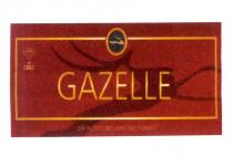 gazelle