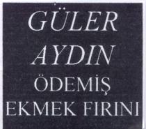 güler aydin ödemiş