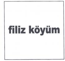 filiz köyüm