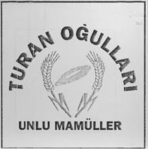 turan oğullari