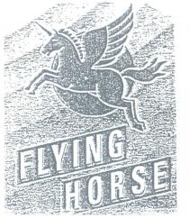 flying horse