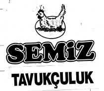 semiz tavukçuluk
