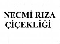 necmi riza çiçekliği