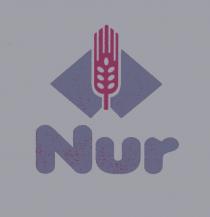 nur