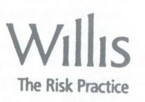 willis the risk practice