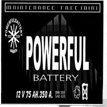 powerful battery mnintennnce free (din)