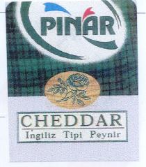 pinar cheddar