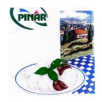 pinar