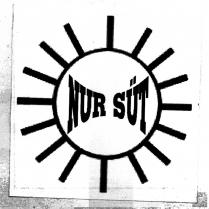 nur süt