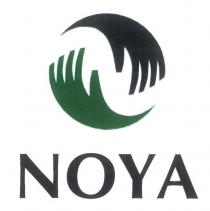noya
