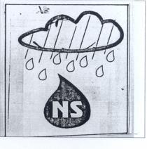 ns